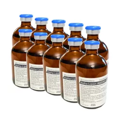 Alpha – energie și vitalitate