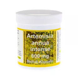 Artemisia annua intense 600 mg – Energie