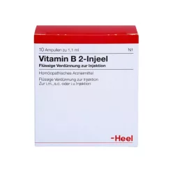 B2 Injeel – Energie