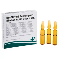 NeyDIL Nr.66 Revitorgan D4 – Energie