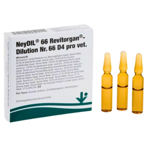 NeyDIL Nr.66 Revitorgan D4 – Energie