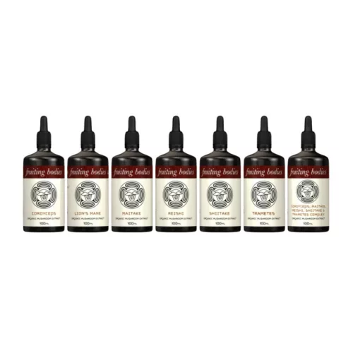 Extract lichid Reishi 100 ml – Energie