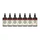 Extract lichid Reishi 100 ml – Energie