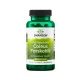 Swanson Coleus Forskohlii 400 mg – Sănătate