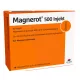 Magnerot 500 Injekt 10 fiole x 10 ml – Energie