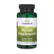 Swanson Reishi Mushroom 600 mg – Energie
