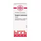 Syzygium jambolanum DHU 250 mg, 80 tablete – Energie